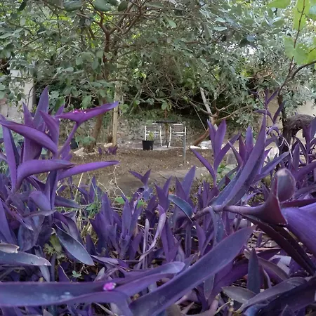 Peaceful Retreat ザトン