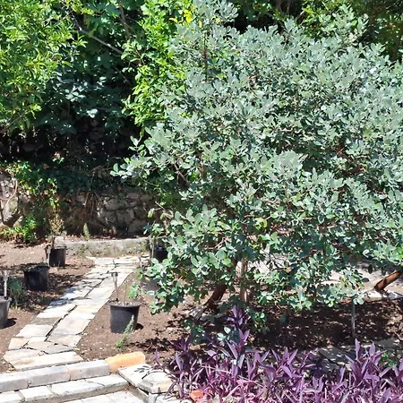 Peaceful Retreat זאטון