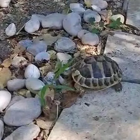 Peaceful Retreat דירה