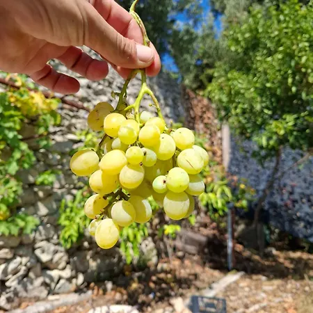 Peaceful Retreat アパート