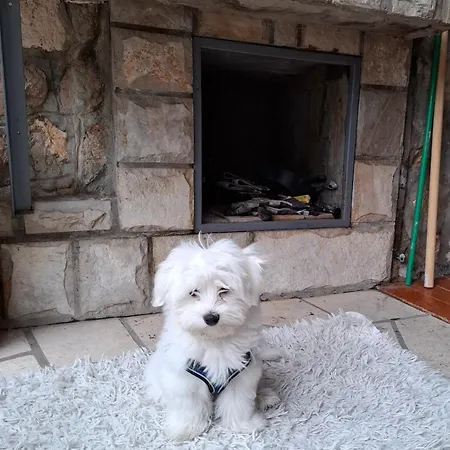 アパート Peaceful Retreat *