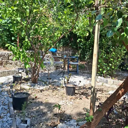 Peaceful Retreat דירה