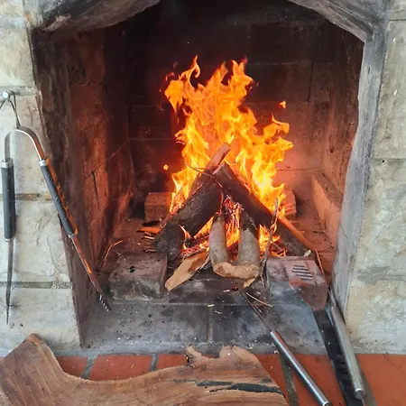 Apartman Peaceful Retreat Zaton (Dubrovnik-Neretva)