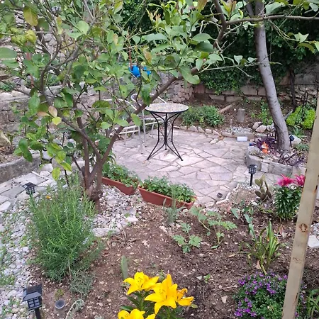 Apartman Peaceful Retreat Zaton (Dubrovnik-Neretva)